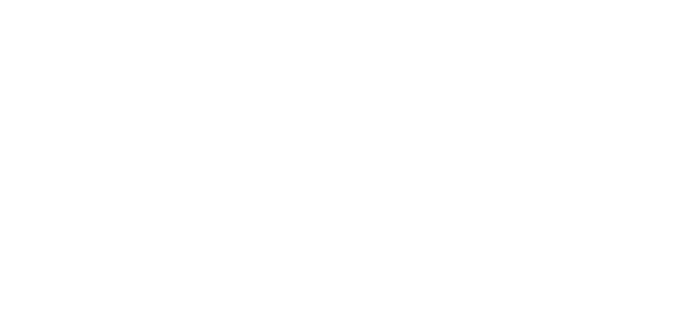 Zhongwei Willis export markets