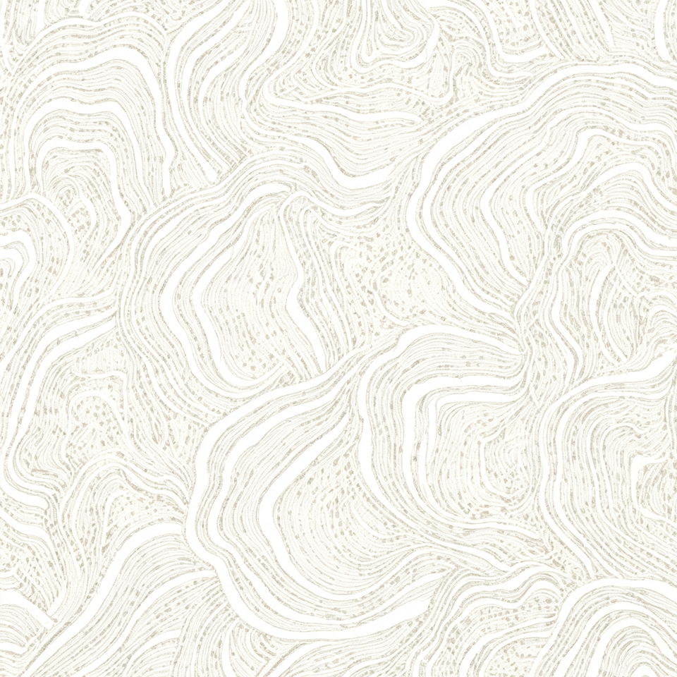 02.png XF-WP-02