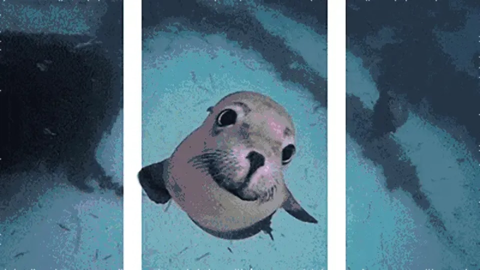 裸眼3D LEDスクリーンの制作・設計方法