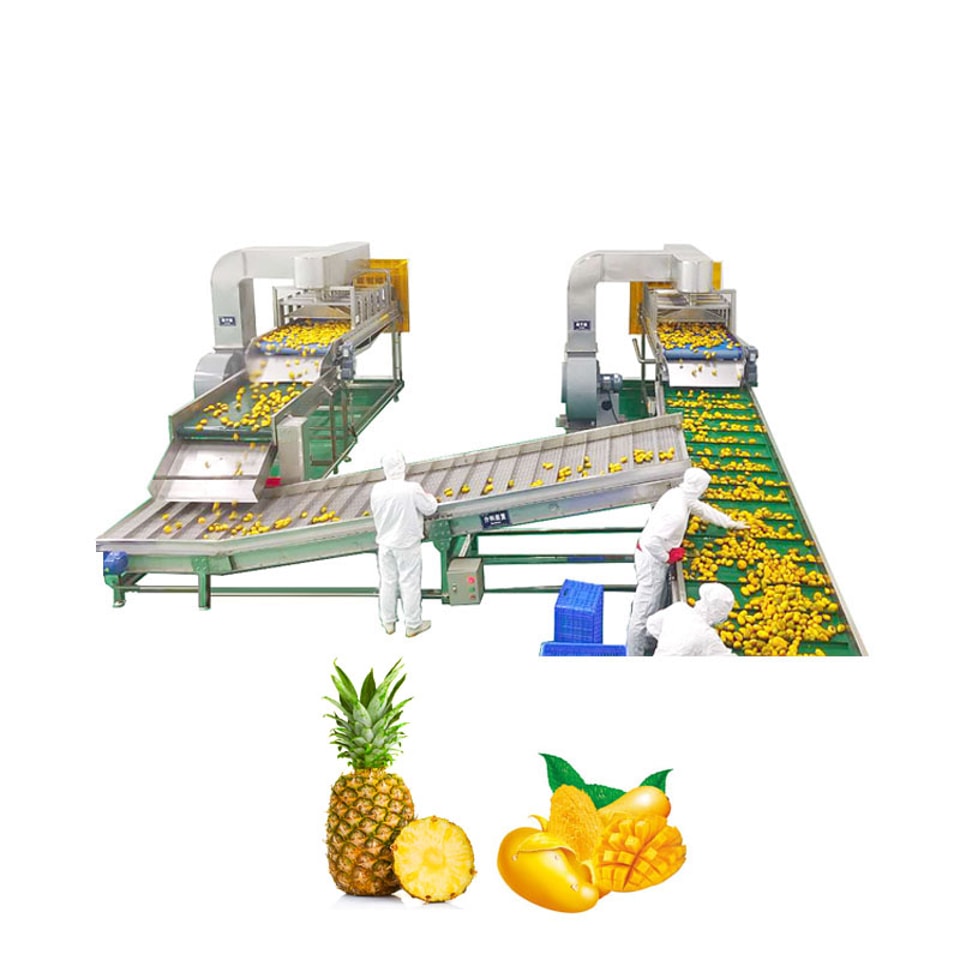 Lini pengolahan mangga & nanas