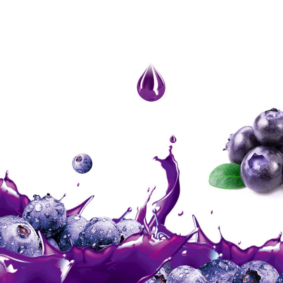 Lini produksi jus blueberry dan jus anggur