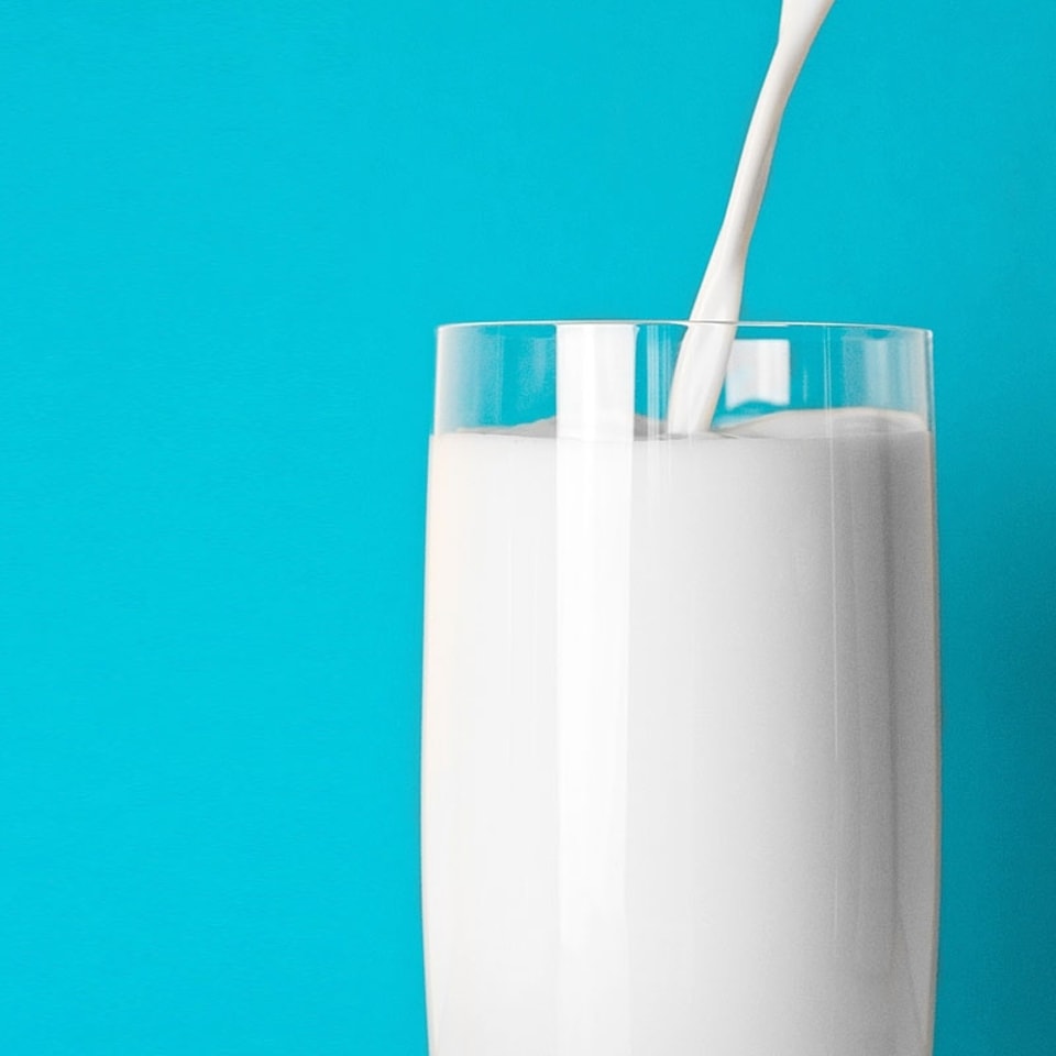 Poin keberhasilan utama lini produksi susu nabati