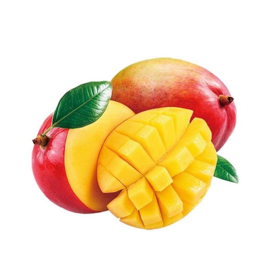 Pabrik pengolahan jus mangga