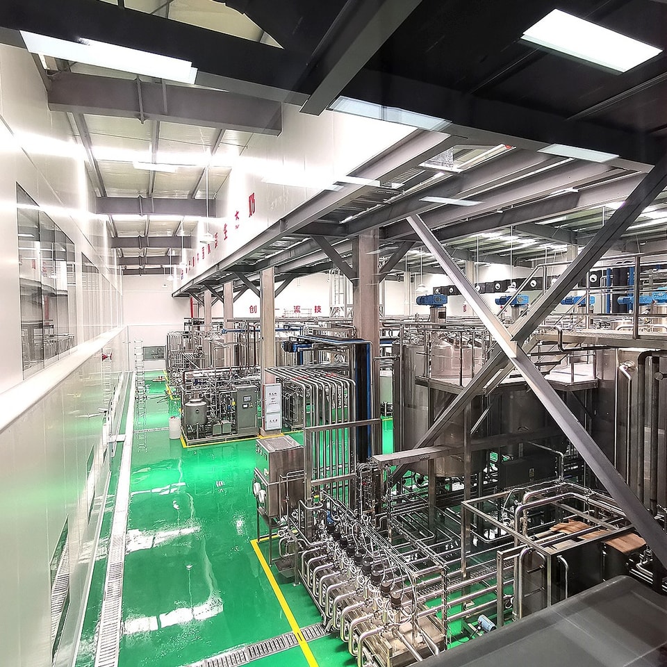 Rencana proyek utama lini produksi otomatis penuh susu kerbau India