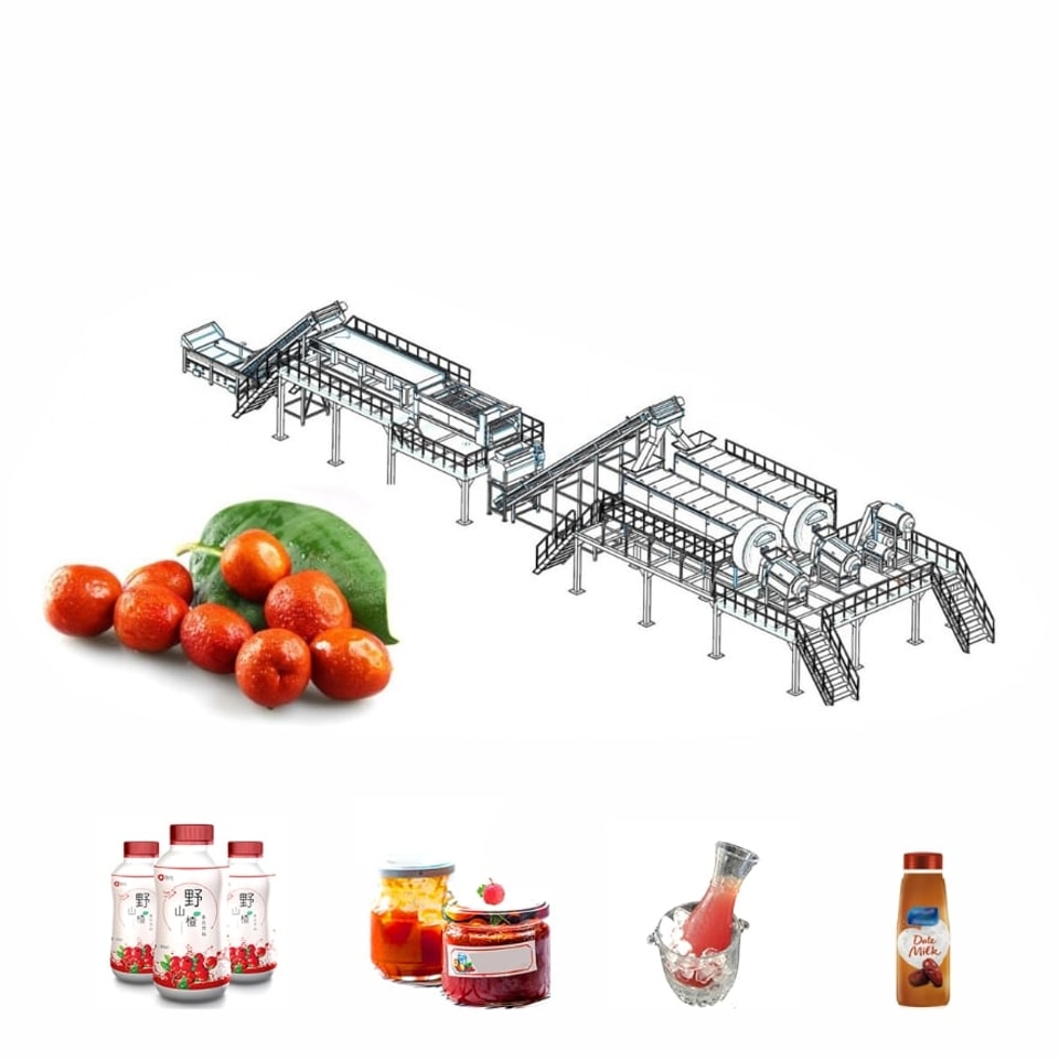 Lini Produksi Pengolahan Selai Jujube dan Sirup Kurma