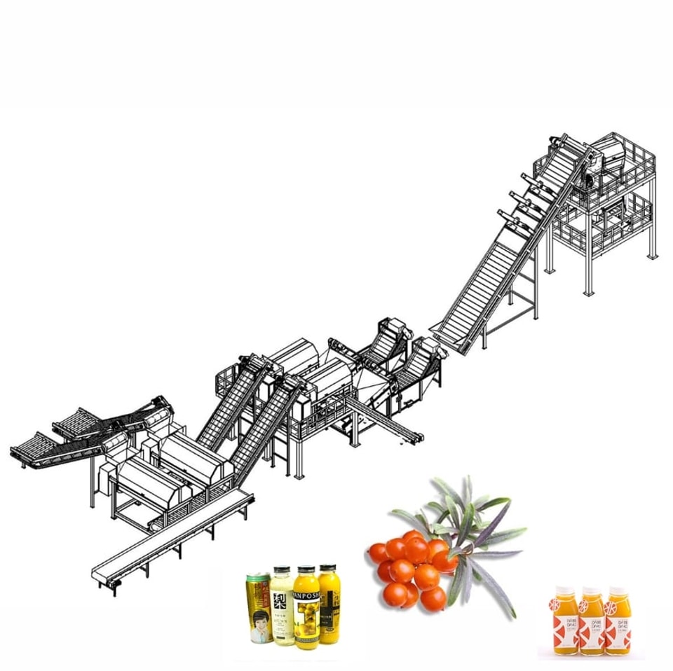 Lini Pengolahan Seabuckthorn