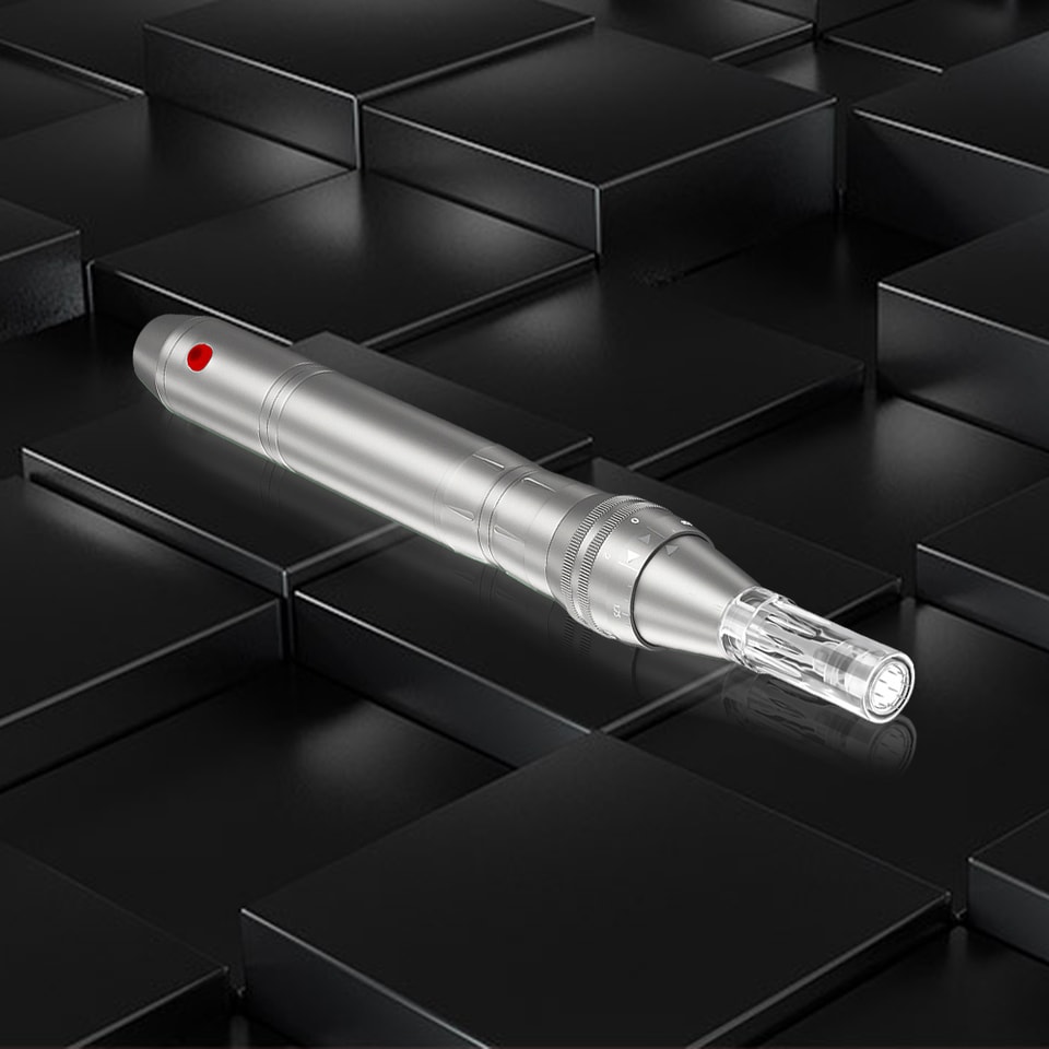 Anti-Flow Derma Pen with 2 batteries