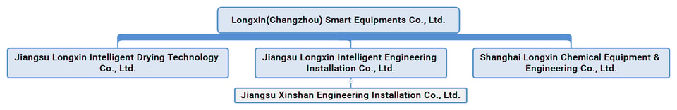 Схема организационной структуры группы Longxin