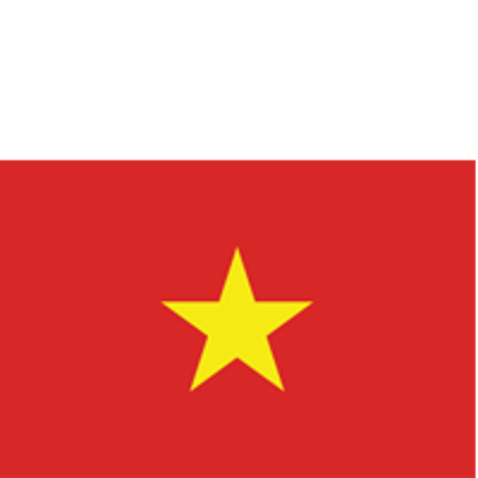 Vietnamita
