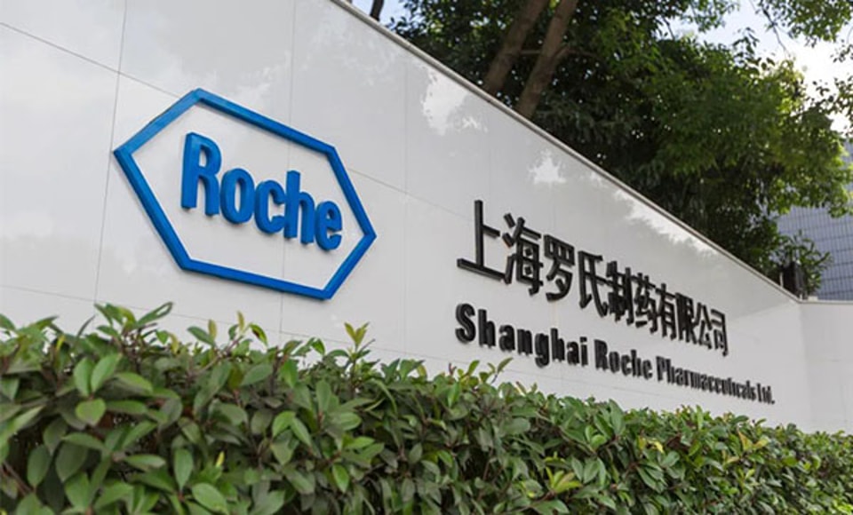 Roche project application