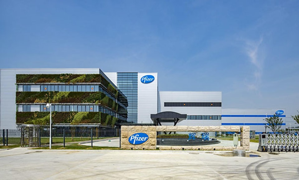 Pfizer project application