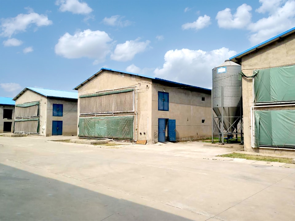 Linfen Poultry Farm project view 4