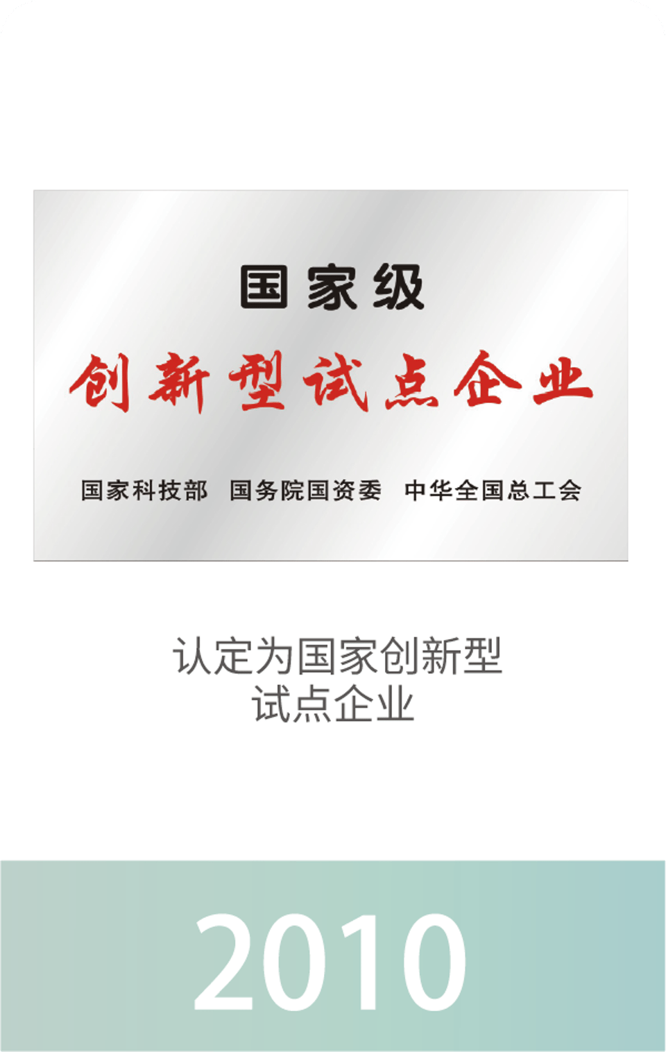 2010: State-level Innovative Pilot Enterprise