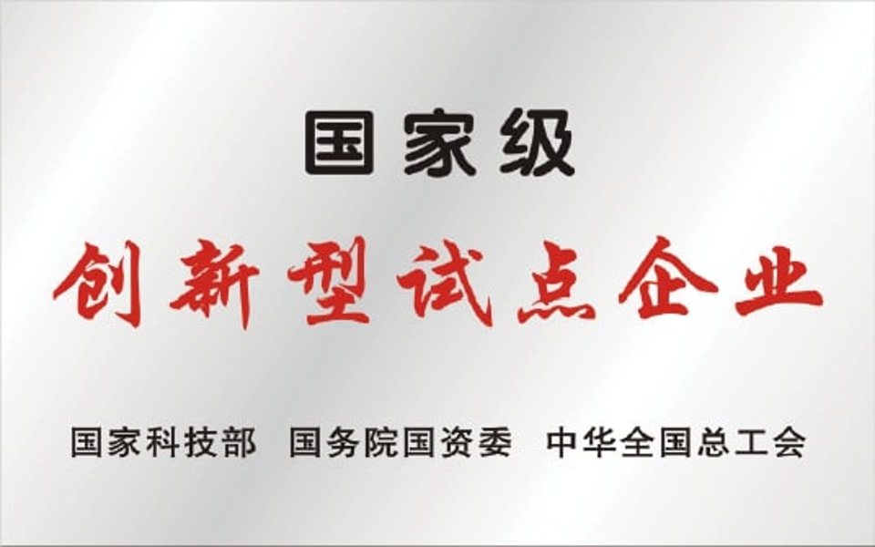2010: State-level Innovative Pilot Enterprise