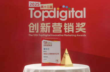TopDigital 创新营销奖